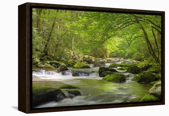 Cascading Creek, Great Smoky Mountains National Park, Tennessee, USA-null-Framed Premier Image Canvas