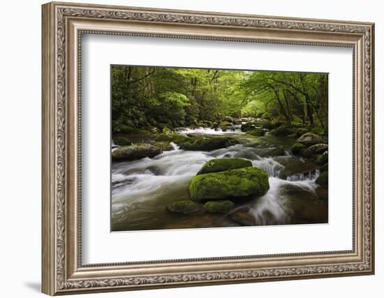 Cascading Creek, Great Smoky Mountains National Park, Tennessee, USA-null-Framed Photographic Print