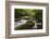 Cascading Creek, Great Smoky Mountains National Park, Tennessee, USA-null-Framed Photographic Print