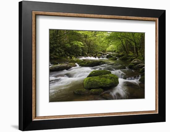 Cascading Creek, Great Smoky Mountains National Park, Tennessee, USA-null-Framed Photographic Print