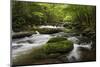 Cascading Creek, Great Smoky Mountains National Park, Tennessee, USA-null-Mounted Photographic Print