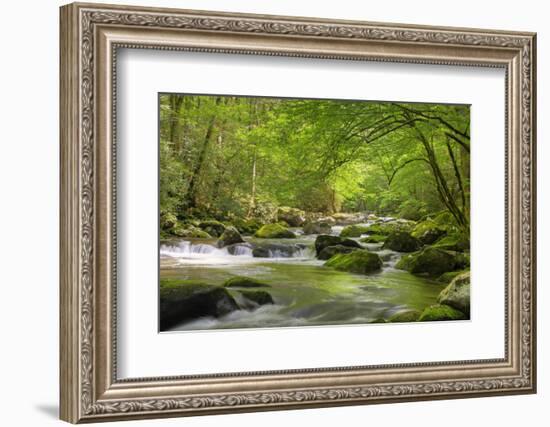 Cascading Creek, Great Smoky Mountains National Park, Tennessee, USA-null-Framed Photographic Print