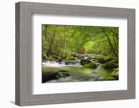 Cascading Creek, Great Smoky Mountains National Park, Tennessee, USA-null-Framed Photographic Print