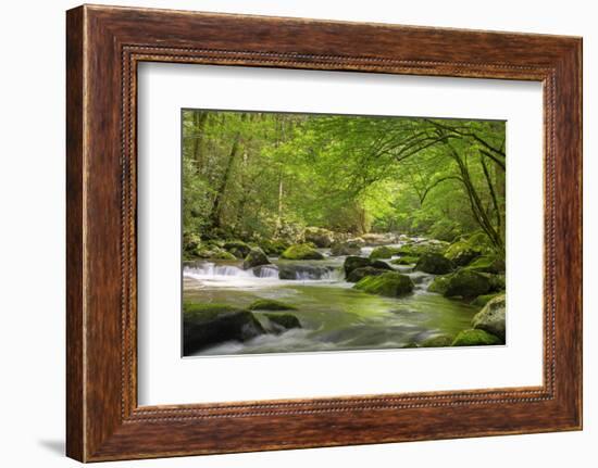 Cascading Creek, Great Smoky Mountains National Park, Tennessee, USA-null-Framed Photographic Print