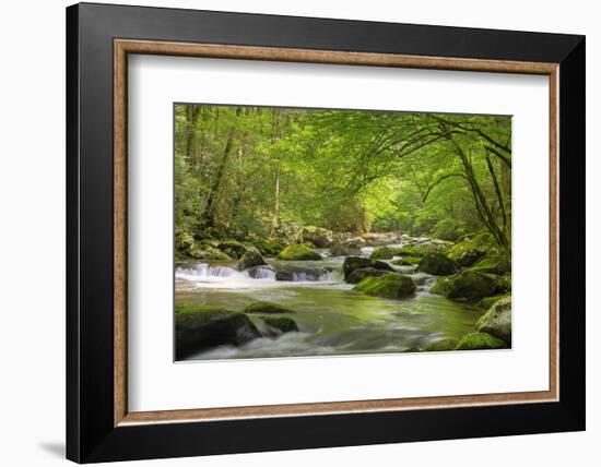 Cascading Creek, Great Smoky Mountains National Park, Tennessee, USA-null-Framed Photographic Print