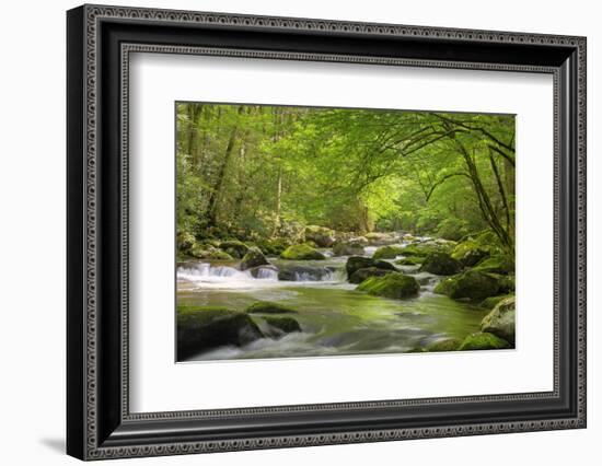 Cascading Creek, Great Smoky Mountains National Park, Tennessee, USA-null-Framed Photographic Print