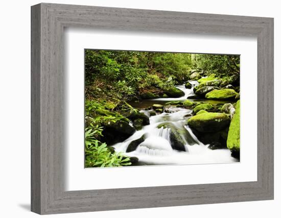 Cascading Creek in the Park, Great Smoky Mountains National Park, Tennessee, USA-null-Framed Photographic Print