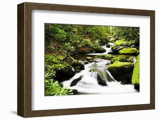 Cascading Creek in the Park, Great Smoky Mountains National Park, Tennessee, USA-null-Framed Photographic Print