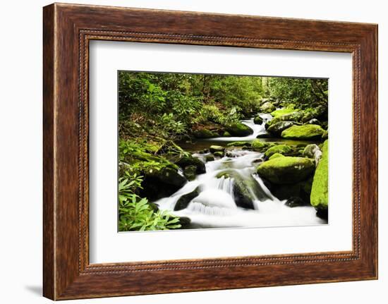 Cascading Creek in the Park, Great Smoky Mountains National Park, Tennessee, USA-null-Framed Photographic Print