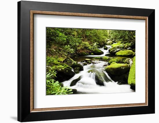 Cascading Creek in the Park, Great Smoky Mountains National Park, Tennessee, USA-null-Framed Photographic Print