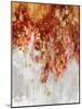 Cascading Fall II-Nikki Robbins-Mounted Art Print