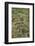 Cascading Rice Field Terraces-DLILLC-Framed Photographic Print