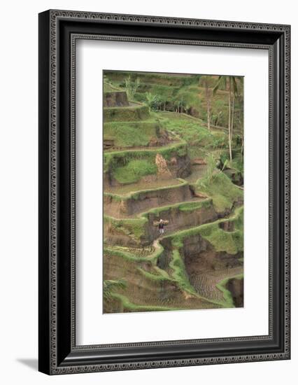 Cascading Rice Field Terraces-DLILLC-Framed Photographic Print
