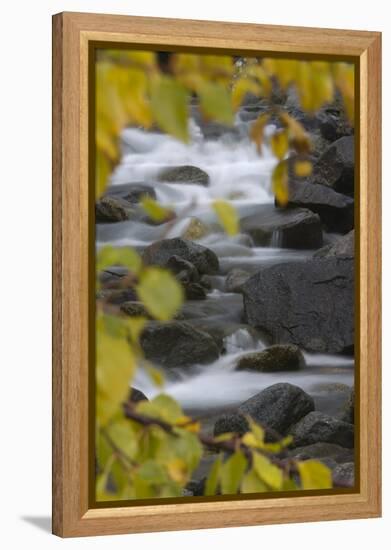 Cascading River Through Autumnal Foliage, Sarek Np, Laponia World Heritage Site, Lapland, Sweden-Cairns-Framed Premier Image Canvas