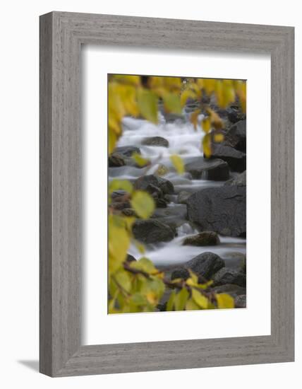 Cascading River Through Autumnal Foliage, Sarek Np, Laponia World Heritage Site, Lapland, Sweden-Cairns-Framed Photographic Print