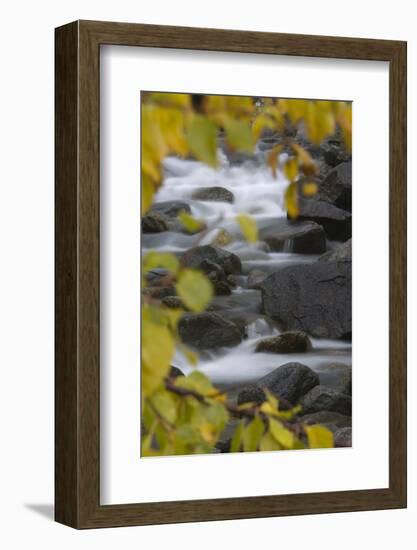 Cascading River Through Autumnal Foliage, Sarek Np, Laponia World Heritage Site, Lapland, Sweden-Cairns-Framed Photographic Print