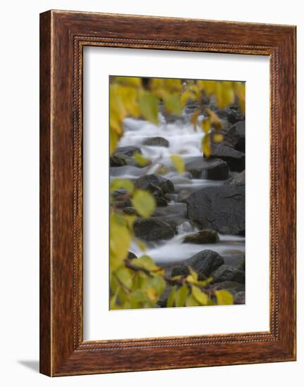 Cascading River Through Autumnal Foliage, Sarek Np, Laponia World Heritage Site, Lapland, Sweden-Cairns-Framed Photographic Print