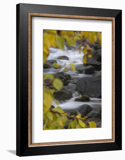 Cascading River Through Autumnal Foliage, Sarek Np, Laponia World Heritage Site, Lapland, Sweden-Cairns-Framed Photographic Print