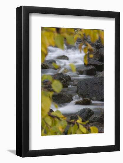 Cascading River Through Autumnal Foliage, Sarek Np, Laponia World Heritage Site, Lapland, Sweden-Cairns-Framed Photographic Print