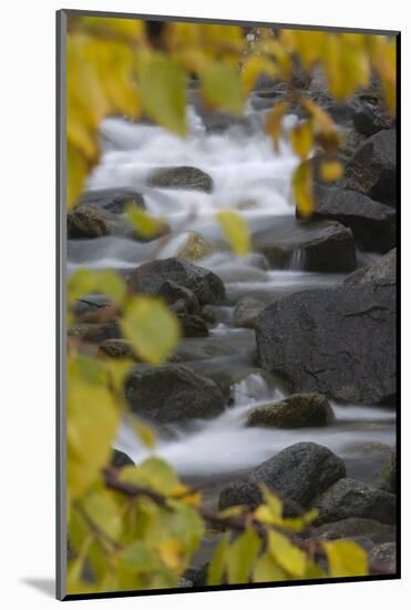 Cascading River Through Autumnal Foliage, Sarek Np, Laponia World Heritage Site, Lapland, Sweden-Cairns-Mounted Photographic Print