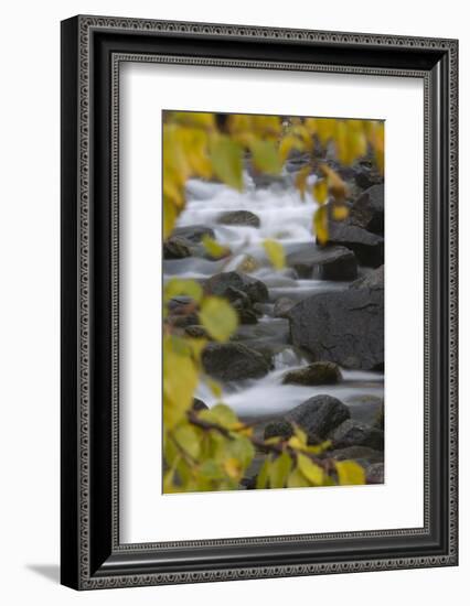 Cascading River Through Autumnal Foliage, Sarek Np, Laponia World Heritage Site, Lapland, Sweden-Cairns-Framed Photographic Print