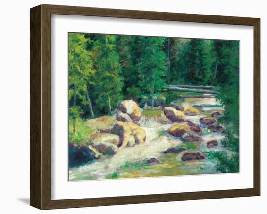 Cascading Stream-Carol Bailey-Framed Art Print