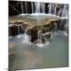 Premium Photographic Print