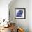 Case Of The Blues-Ric Stultz-Framed Giclee Print displayed on a wall