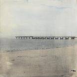 Venice Pier II-Casey Mckee-Framed Stretched Canvas