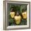 Cashew Nuts, Thailand-Russell Gordon-Framed Photographic Print