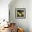 Cashew Nuts, Thailand-Russell Gordon-Framed Photographic Print displayed on a wall