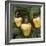 Cashew Nuts, Thailand-Russell Gordon-Framed Photographic Print