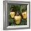 Cashew Nuts, Thailand-Russell Gordon-Framed Photographic Print