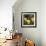 Cashew Nuts, Thailand-Russell Gordon-Framed Photographic Print displayed on a wall