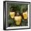 Cashew Nuts, Thailand-Russell Gordon-Framed Photographic Print