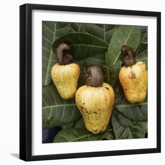 Cashew Nuts, Thailand-Russell Gordon-Framed Photographic Print