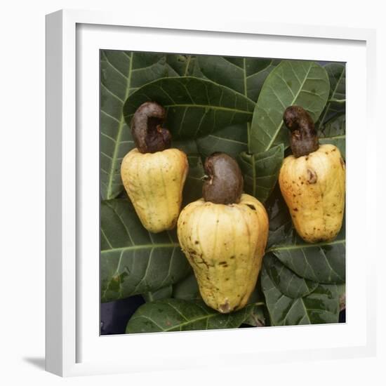 Cashew Nuts, Thailand-Russell Gordon-Framed Photographic Print