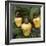 Cashew Nuts, Thailand-Russell Gordon-Framed Photographic Print