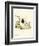 Cashmere Goat-null-Framed Premium Giclee Print