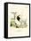 Cashmere Goat-null-Framed Premier Image Canvas