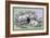 Cashmere Goats-John Stewart-Framed Art Print