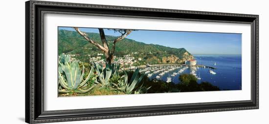 Casino Building and Avalon Harbor, Avalon, Catalina Island, California-null-Framed Premium Photographic Print