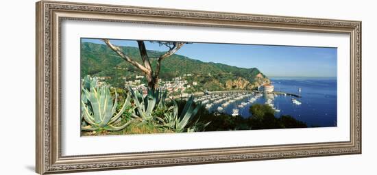 Casino Building and Avalon Harbor, Avalon, Catalina Island, California-null-Framed Photographic Print