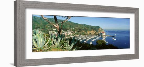 Casino Building and Avalon Harbor, Avalon, Catalina Island, California-null-Framed Photographic Print