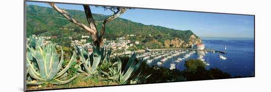 Casino Building and Avalon Harbor, Avalon, Catalina Island, California-null-Mounted Photographic Print