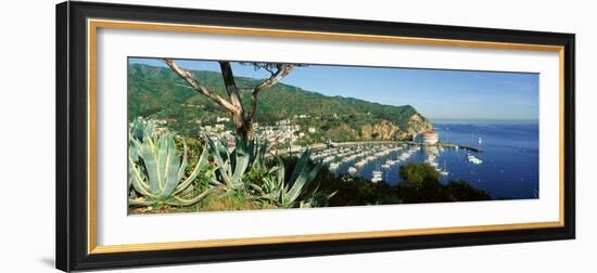 Casino Building and Avalon Harbor, Avalon, Catalina Island, California-null-Framed Photographic Print