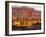 Casino, Deauville, Cote Fleurie, Calvados, Basse Normandie (Normandy), France, Europe-David Hughes-Framed Photographic Print