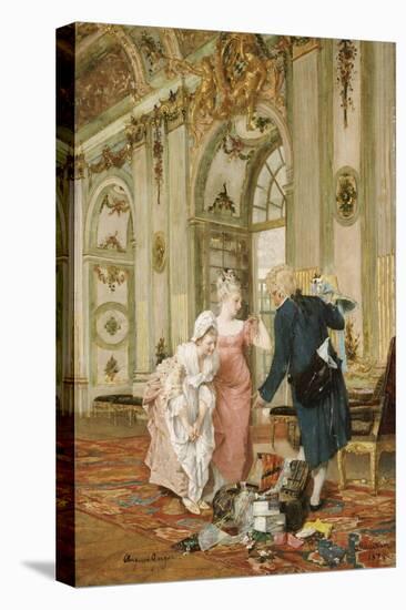 Stretched Canvas Print, , large