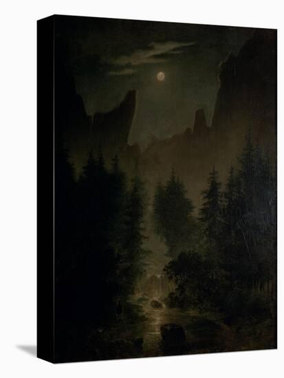 Stretched Canvas Print, , large