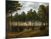 Premium Giclee Print
